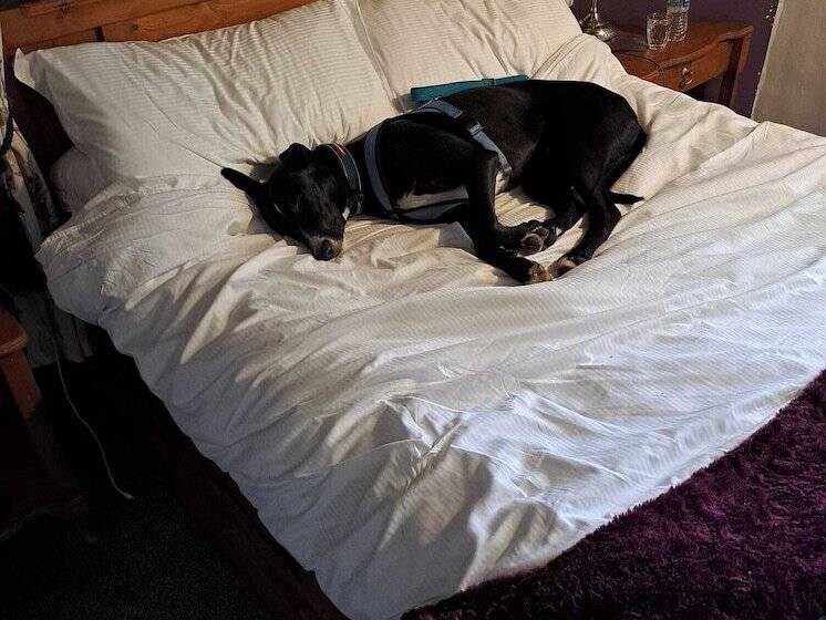 ペンション Virginia Cottage Guest House