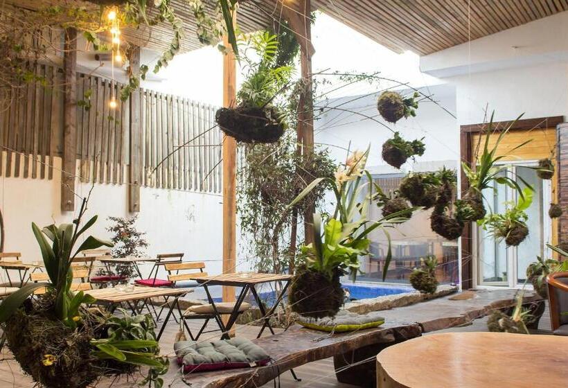 민박 Feel At Home Guest House