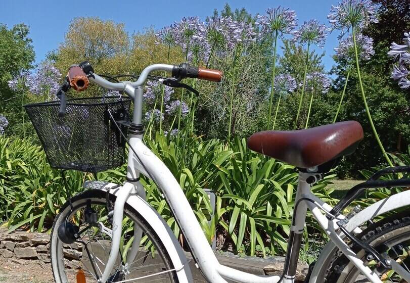 酒店 Camping L Abri Cotier