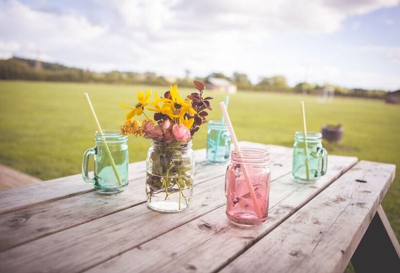 Hotel Canvas & Clover