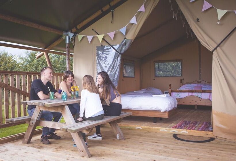 Hotel Canvas & Clover