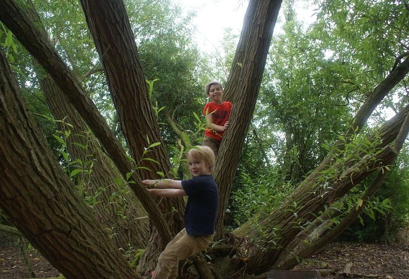 Hotel Canvas & Clover