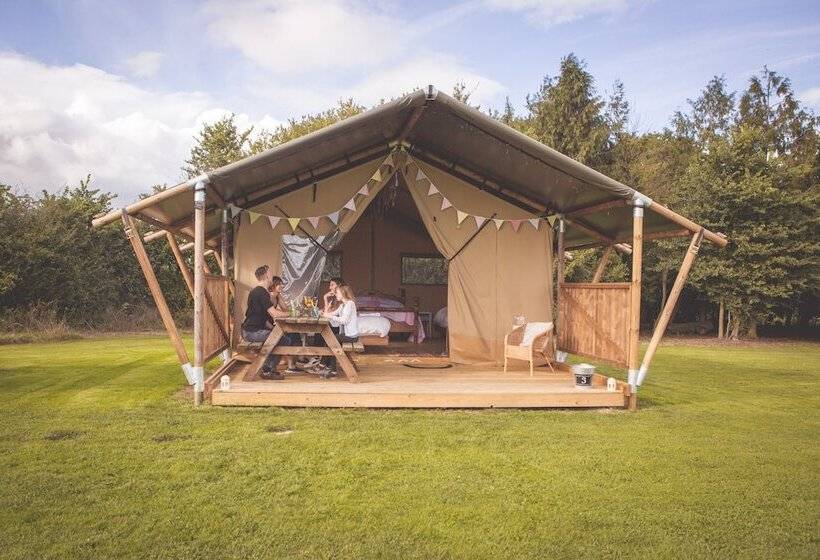 Hotel Canvas & Clover