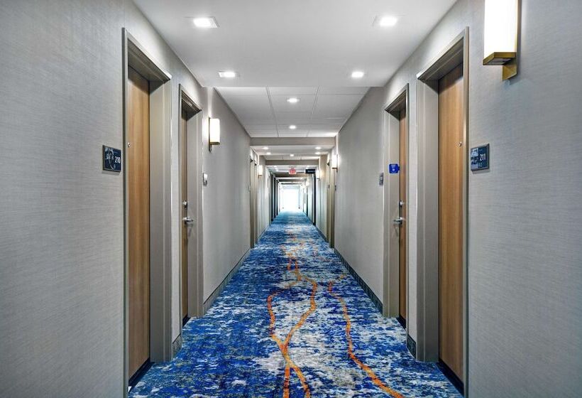 فندق Hampton Inn Midland South