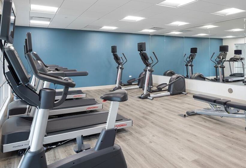 فندق Holiday Inn Express & Suites   Bourbonnais East   Bradley, An Ihg