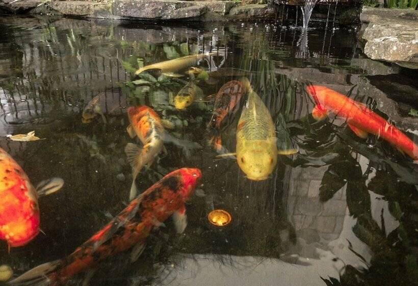 호텔 Pousada Serrana