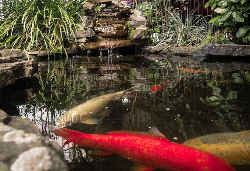 호텔 Pousada Serrana