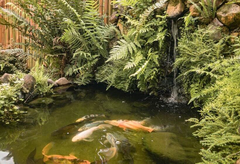 호텔 Pousada Serrana