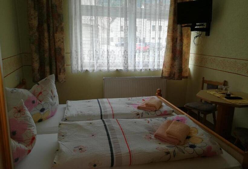 Отель Gästehaus Sachsenstübel