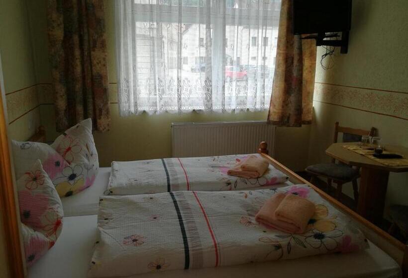 Отель Gästehaus Sachsenstübel