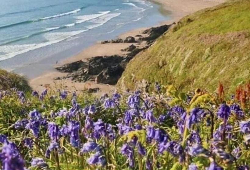 בית מלון כפרי St. Davids Cross