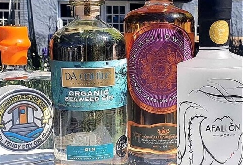 בית מלון כפרי St. Davids Cross