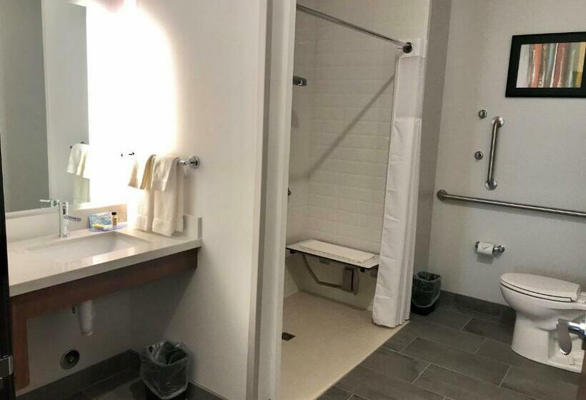 Отель Staybridge Suites   Sioux Falls Southwest, An Ihg