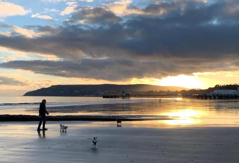 호텔 Wight Orchid Island