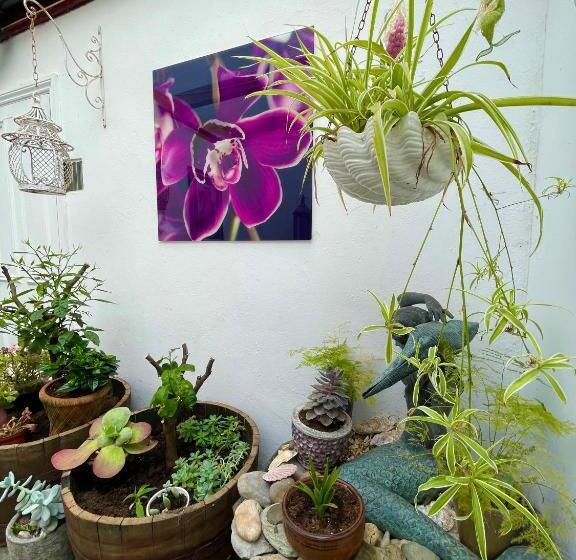 호텔 Wight Orchid Island