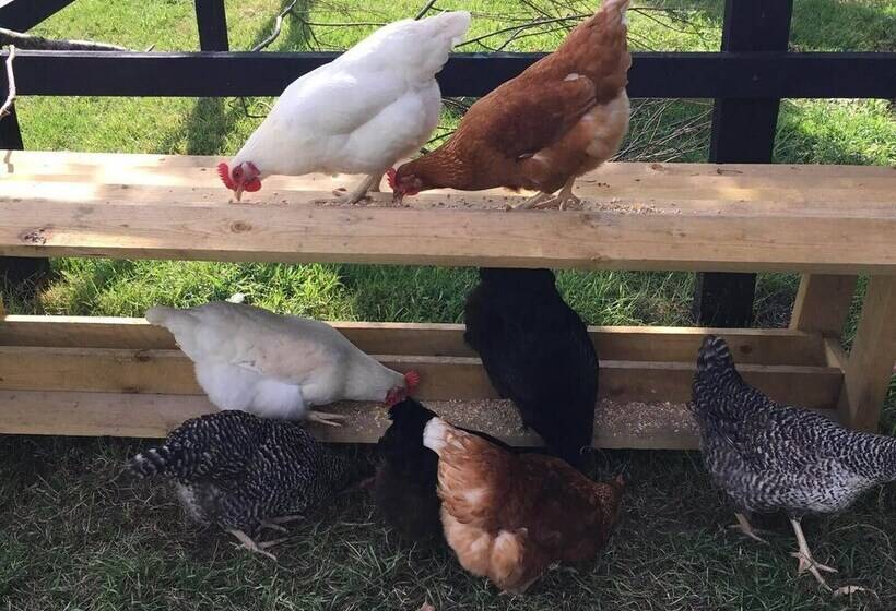 酒店 Wingfield Escapes