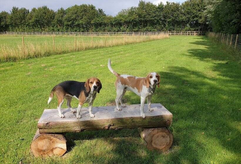 酒店 Wingfield Escapes