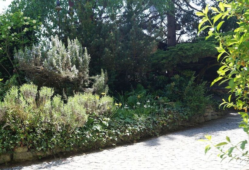 ペンション Oppenheim Lofts