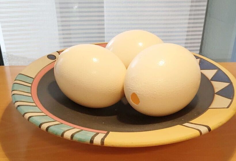 ペンション Oppenheim Lofts