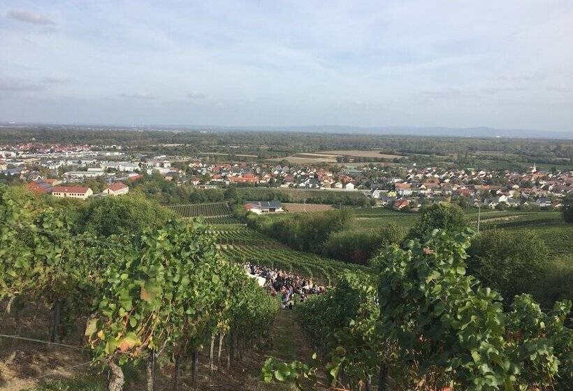 ペンション Oppenheim Lofts