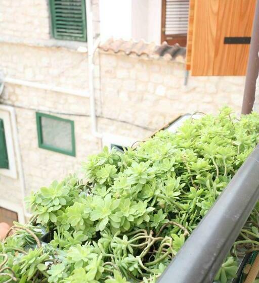 بنسيون Rooms Beljan