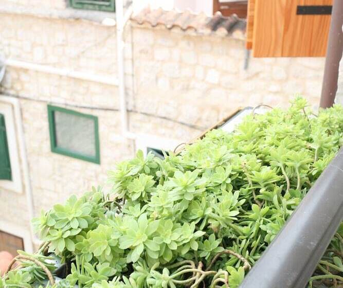 پانسیون Rooms Beljan