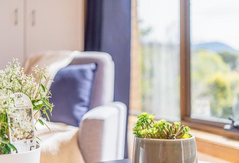 פנסיון Vintage Cuddle Guest House