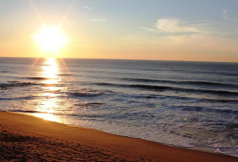 צימר Aliwal Dive Centre & Lodge