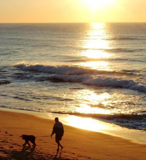 צימר Aliwal Dive Centre & Lodge