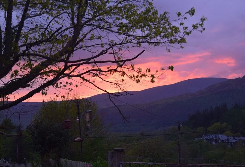 צימר Borthwenbnb