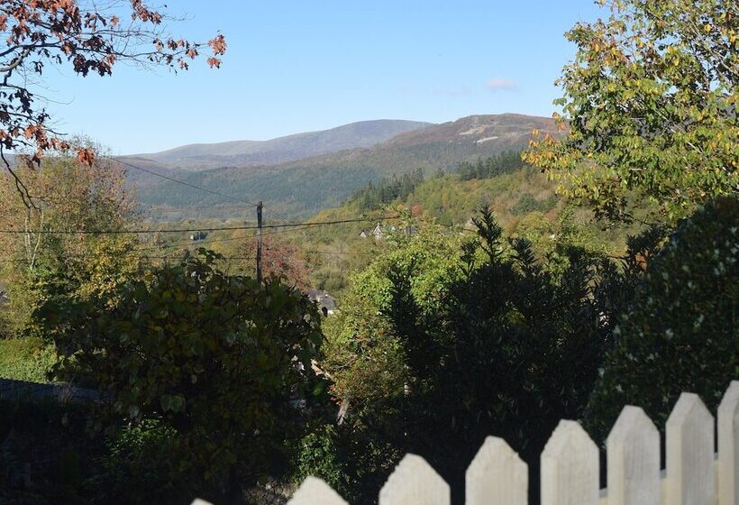 צימר Borthwenbnb