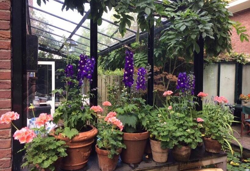 Bed and Breakfast Florentino