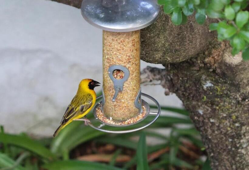 Bed and Breakfast Green Gables