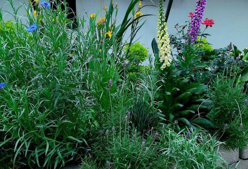 Bed and Breakfast Green Gables