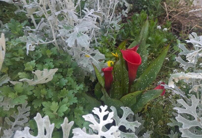 Bed and Breakfast Green Gables