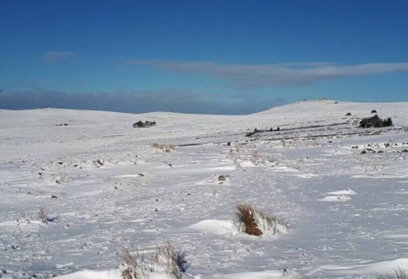 Dartmoor Barn On North Hessary Tor
