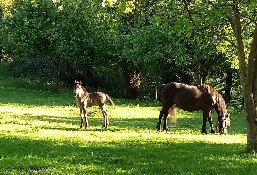 فندق فئة نجمة واحدة Casona De Miyares   La Figar