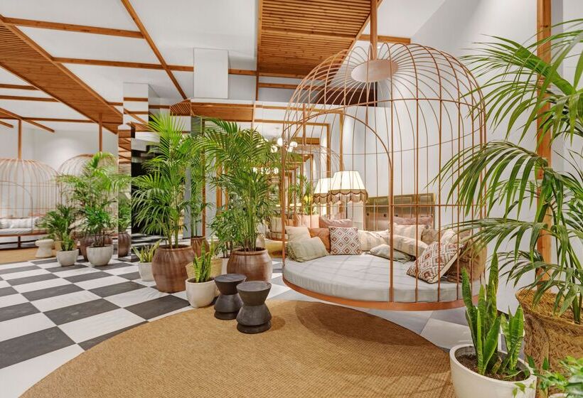 هتل Aubamar Suites & Spa