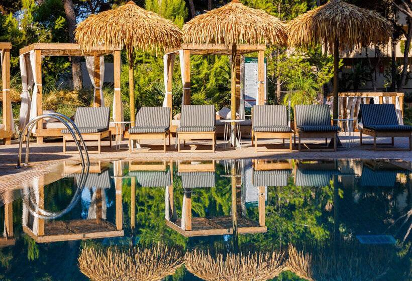 هتل Aubamar Suites & Spa