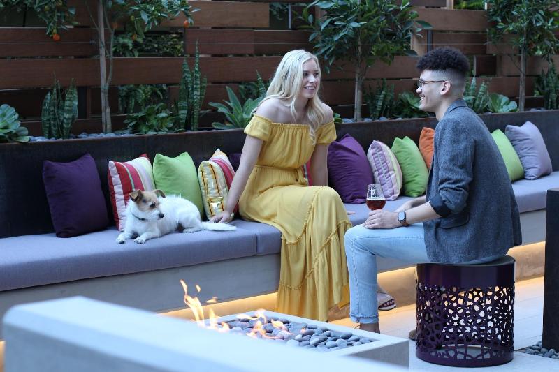 فندق Cerro, Autograph Collection