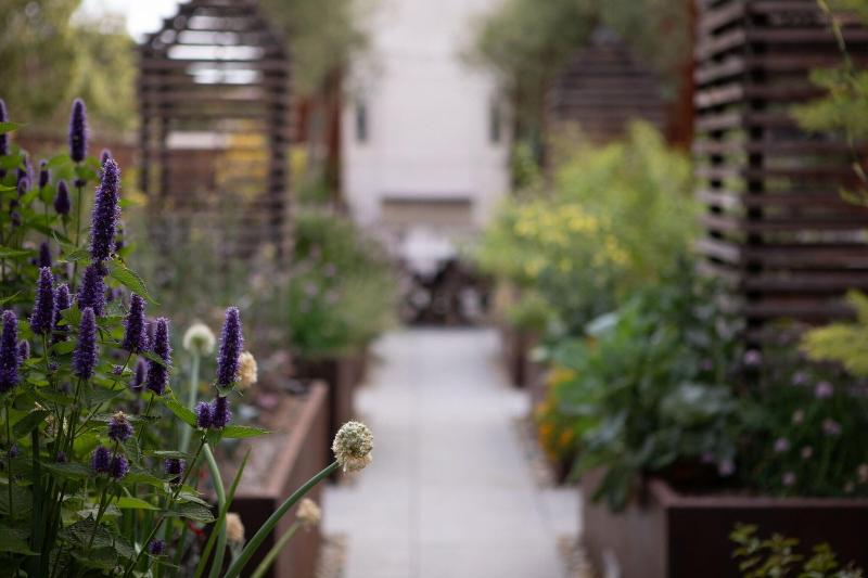 فندق Cerro, Autograph Collection