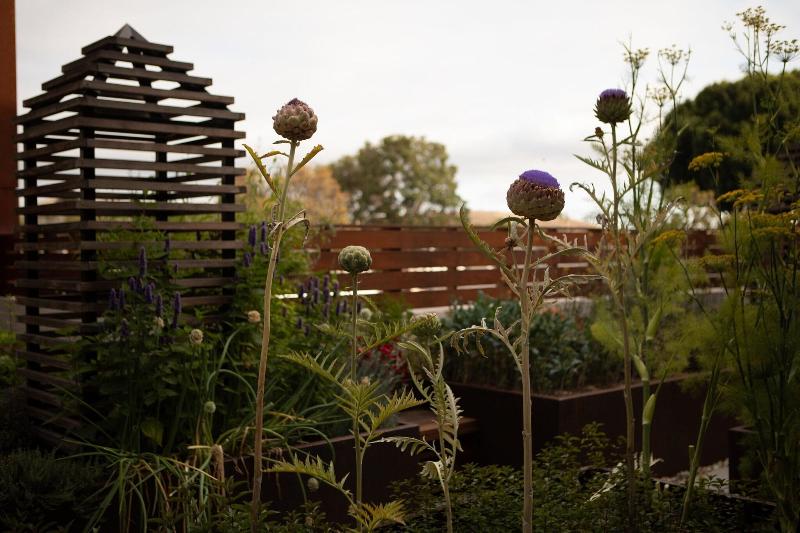 فندق Cerro, Autograph Collection