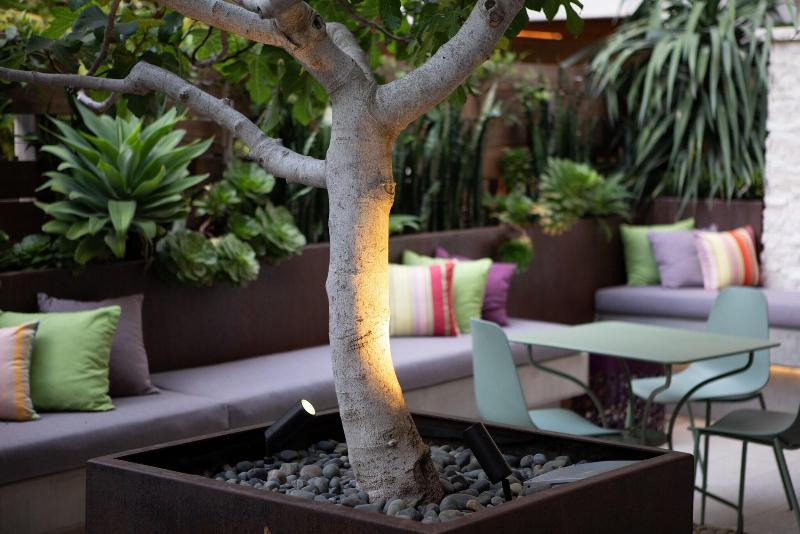 فندق Cerro, Autograph Collection