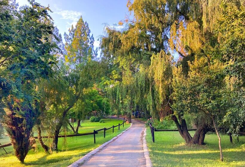 בית מלון כפרי Pine Valley Lodge