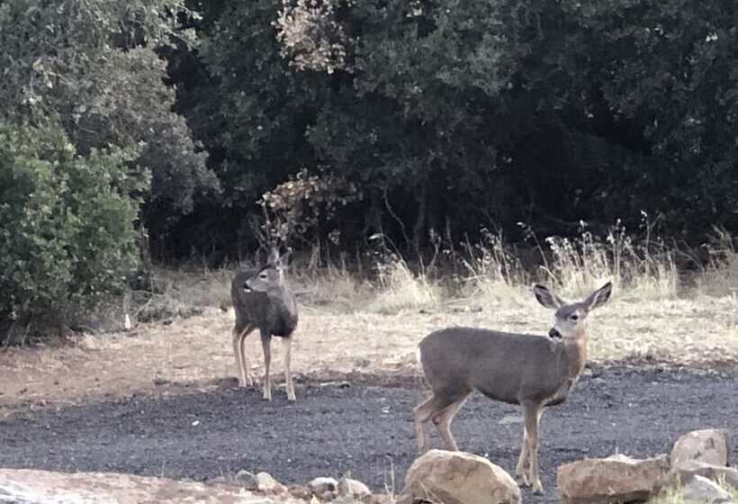 호텔 Quiet Mind Mountain Lodge, Retreat & Spa