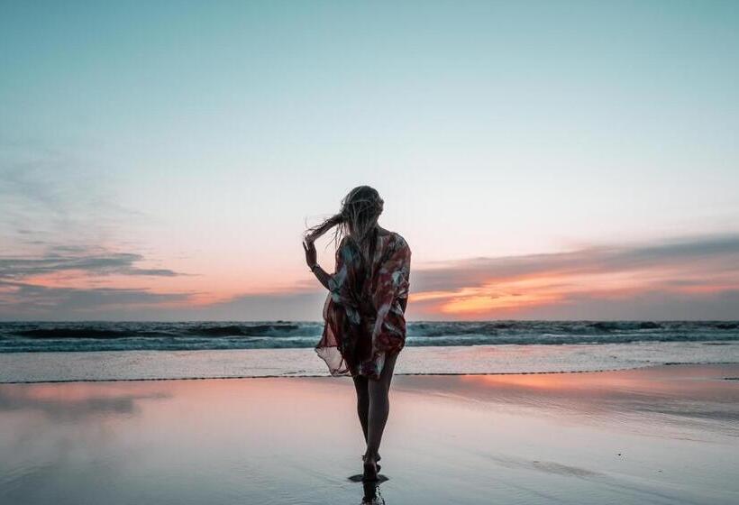 فندق Sense Of Ofir