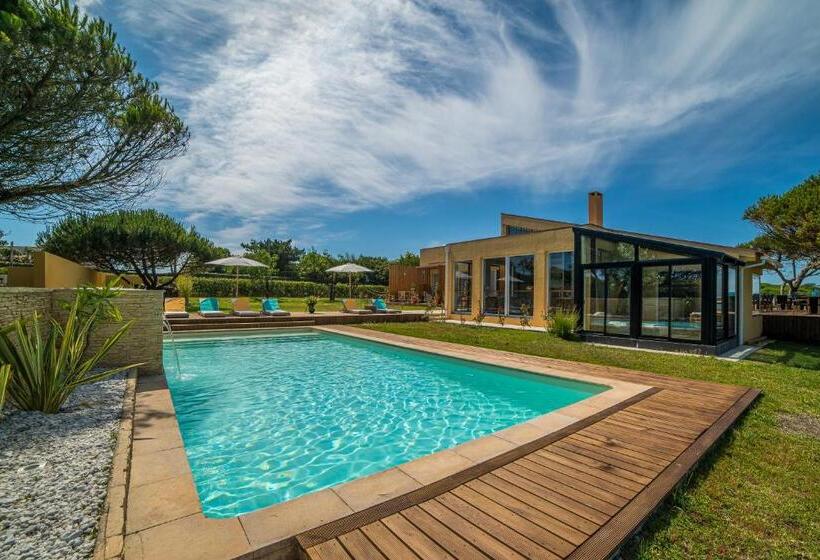 فندق Sense Of Ofir