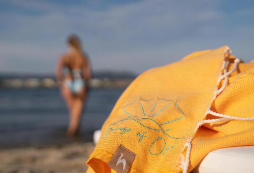 فندق Sense Of Ofir