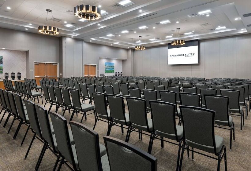 فندق Springhill Suites Lakeland