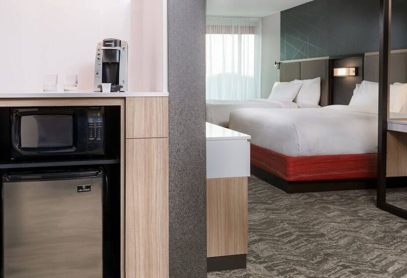 فندق Springhill Suites Lakeland